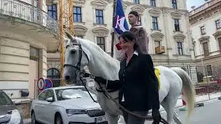 Mango v čele průvodu Brnem 🏇⭐️ Krajský sokolský slet Brno 2024