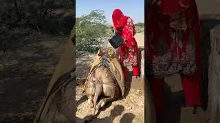 قطعت الفتاة رحلة شاقة للغاية للعثور على بئر واستخراج الماء.