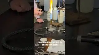 burned magnesium in chemistry. #science #magnesium