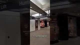 Wynyard / Barangaroos Vibes