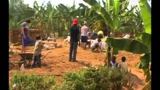 Film Kitchen garden short~1