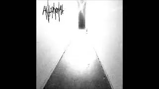 Antiphonal-Winter sun