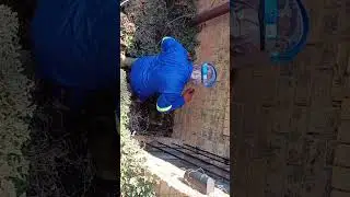 Blocked drain with densly grown garden 🕵‍♂️🔎🏡🥽🇿🇦