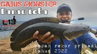 GILA..‼️Baru pertama kali CASTING GABUS DI DANAU TOBA, Langsung di hajar GABUS MONSTER DANAU TOBA..😱