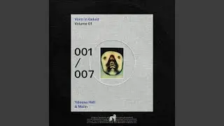 Vorm in Geluid 002