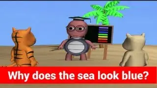 Question and Answers - Why Does the Sea Look Blue - Tell Me Why - Kids Most Asked Why