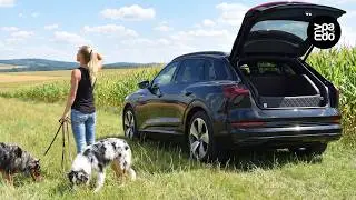 Softbox TRAVELMAT&reg; KR Comfort Plus - passgenauer Kofferraumschutz f&uuml;r deinen Hund
