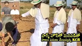 KCR Grandson Himanshu Rao Farming At Erravelli Farmhouse | KTR | BRS Party | News Buzz