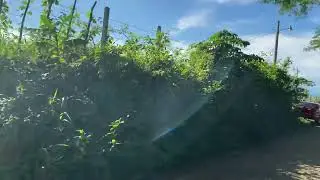 Imágenes preciosas de la naturaleza