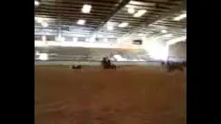 1 Team penning 3-3-12