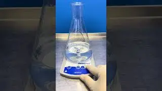 IKA Lab Disc Flat Magnetic Laboratory Stirrer Mixer Fisherbrand Slip Proof Stand
