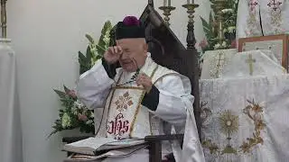 1721-El buen pastor. Dejaron que el lobo robara las ovejas. Crece la Misa tradicional