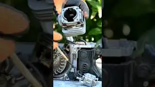 Don't use this fuel for your chainsaw #shorts
