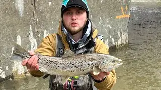 Steelhead fishing Lake Erie tributaries! 2023