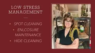 Low Stress Snake Management