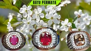NATURAL PERMATA  ruby pigeon blood / ruby burma / bi color tourmaline