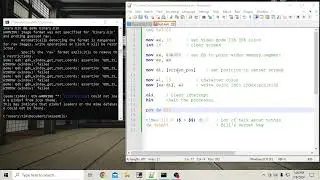 Polar Coordinates - Working with Variables in Assembly for NASM
