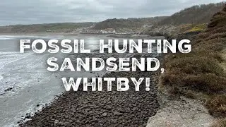 Fossil Hunting At Sandsend, Whitby On The Yorkshire Jurassic Coast.