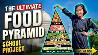 First Prize 🏆 School Science Project Competition  | Food Pyramid Model | Exhibition Science Fair