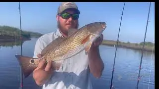 Fishing jenkins creek florida estuary and backcountry with @estuaryadventures Capt Neil
