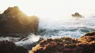 Free Stock Videos 4K Review and Download from pexels.com