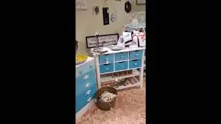 Monique's store