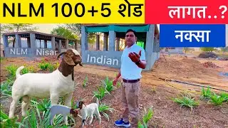 NLM Shed 100+5 || कुल लागत , नक्सा, सावधानी ,तरीक़ा संपूर्ण जानकारी Nisar Indian Goat Farming