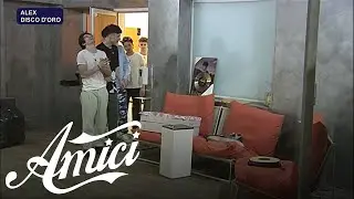 Amici 21 - Il disco d'oro di Alex