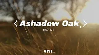VIYI pure color enjoyment - MG61224 Ashadow Oak