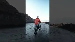 MOUNTAIN WOLF