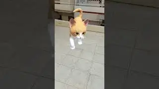 Catu #shorts #youtubeshorts #shortvideo