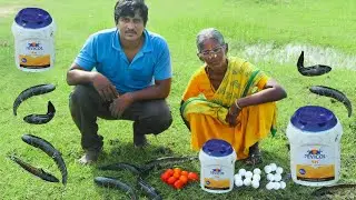 Grandmas Stunning Fishing Method Using FEVICOL & EGGS | பாட்டியின் அசத்தலான மீன் பிடிக்கும் முறை.