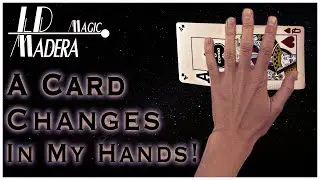 A Card Changes in my Hands