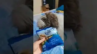 NUTRI SOURCE | PET NUTRITION | PAWSNCOLLARS
