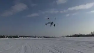 RC ORNITHOPTER 