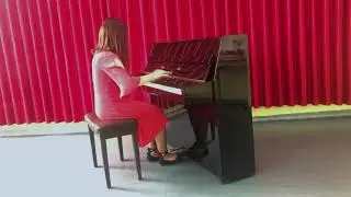 Lejna Bašić, Bosna i Hercegovina