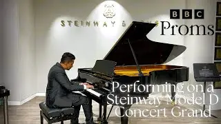 Beethoven Pathétique Sonata Movement 1 | Steinway Model D (BBC Proms Piano) | Shahen Thilakaratne