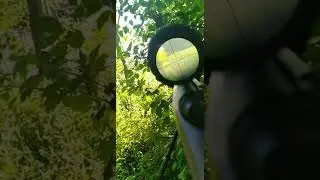 22 lr groundhog. cellphone kill