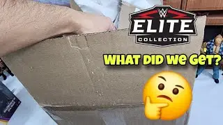 MYSTERY WWE ELITE ACTION FIGURES 🤔