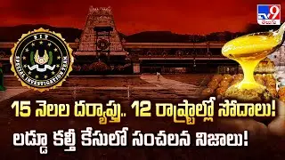 SIT Files Final Chargesheet in Tirumala Laddu Ghee Adulteration Case - TV9