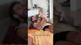 I tried getting my dog and foster puppy to nap with me on the couch