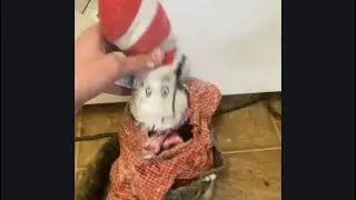 kids red egg snow storm!!!! ￼ British kid gets stuck in snow