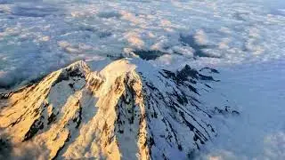 Mount Rainier National Forest | Travel Vlog