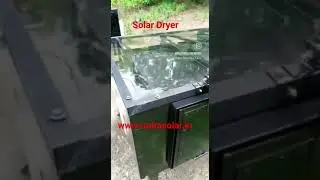 Solar Dryer | किसानों के लिए वरदान बना सोलर ड्रायर |#solardryer