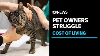 More people are struggling to look after their pets, as the cost of living crisis bites | ABC News