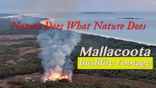 Nature Does What Nature Does &ndash; Indie Folk Duet + Mallacoota Bushfire Drone Footage
