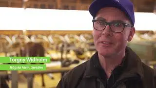 Optimised Nutrient  Recycling - SOLMACC