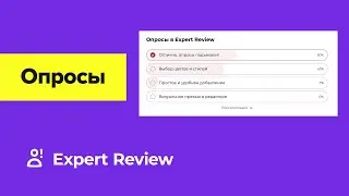 Expert Review: Опросы WordPress