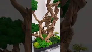 Преображение коряги #rootsmoss #коряга #driftwoodart #driftwoodmoss #корягасомхом #tableart #rootart