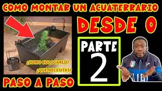 GÚIA PARA PRINCIPIANTES, COMO MONTAR UN ACUATERRARIO PARTE 2